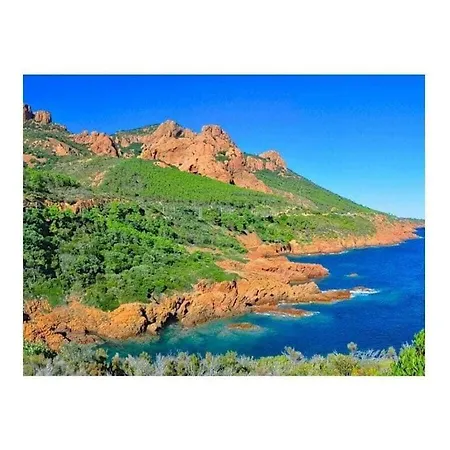 Escaillon Comfortable Holiday *