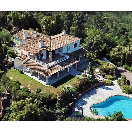 Escaillon Comfortable Holiday
